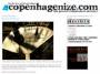 copenhagenize.com.jpg